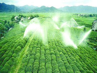 农业香蕉视频下载地址