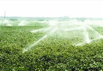 节水香蕉视频下载地址厂家